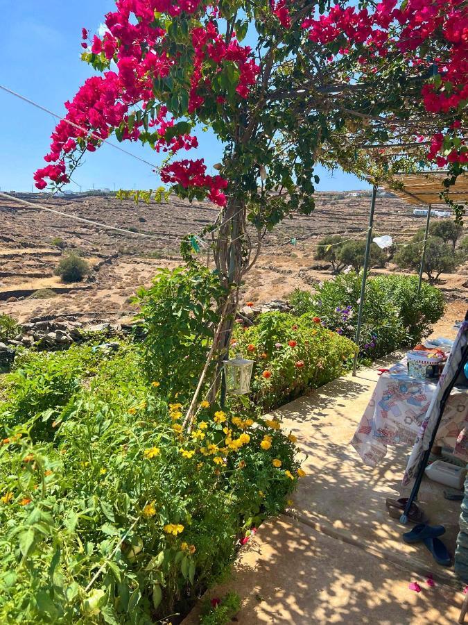 Lemon Houses - Faros, Sifnos 外观 照片